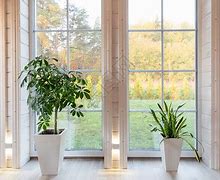 窗口期足总杯传出新动向，巴塞罗那官宣签约，管理层表态——气氛紧张，临场指挥获称赞